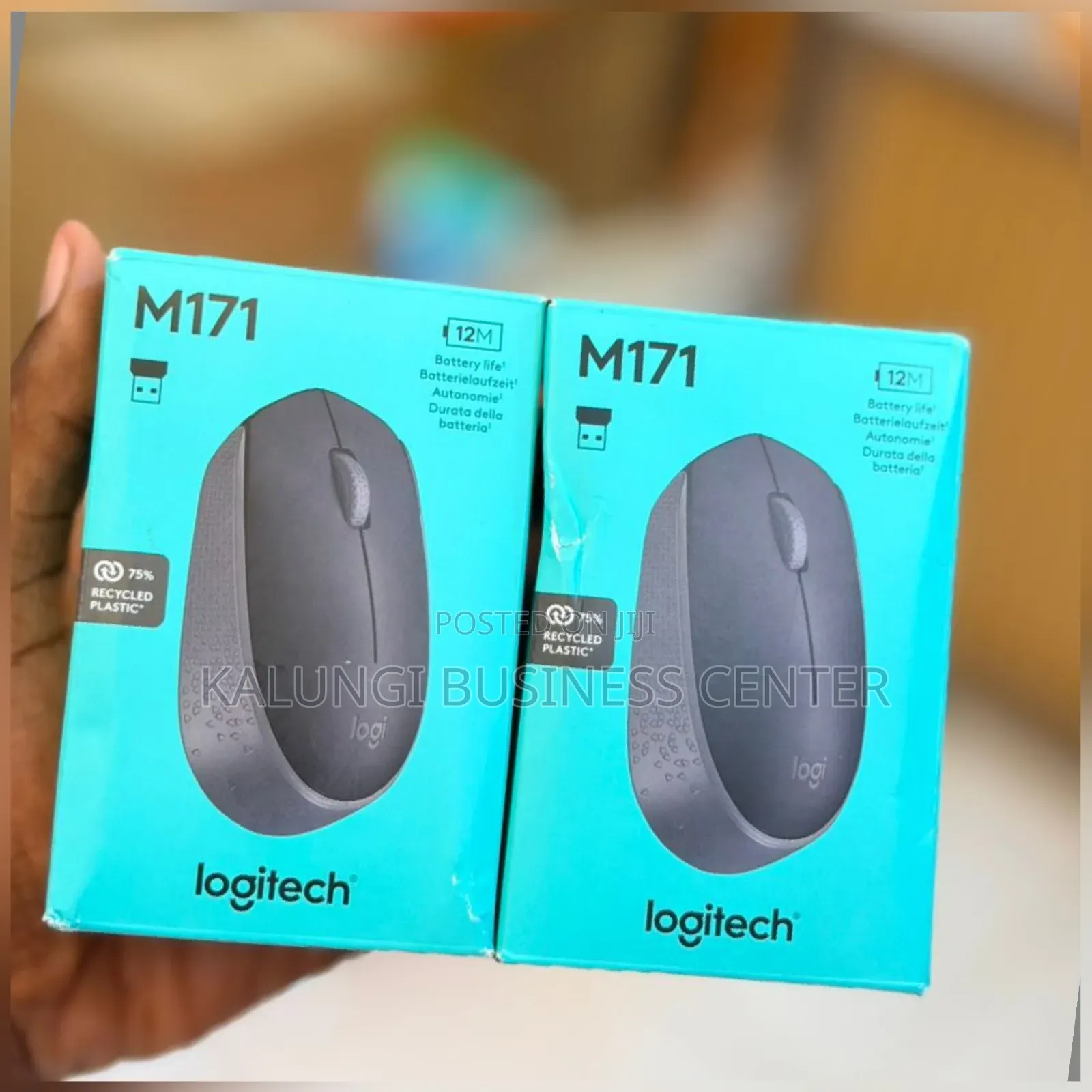 Wireless Mouse Logitech M17 Wireless Mouse