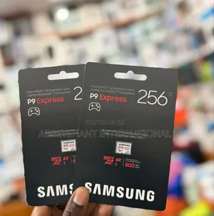 Samsung P9 Express 256gb Microsdxc Memory Card