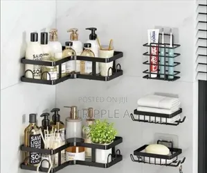 Unique Wall Mounted Bathroom Organizer