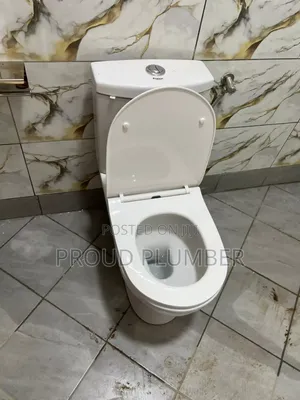 Toilet (S P Trap) Installation
