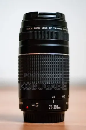70-300mm Canon Lens