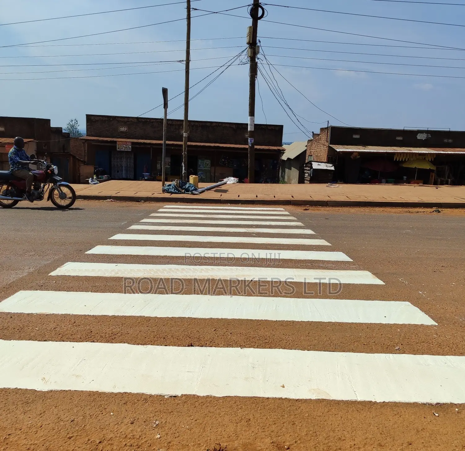 Zebra Crossing Painting