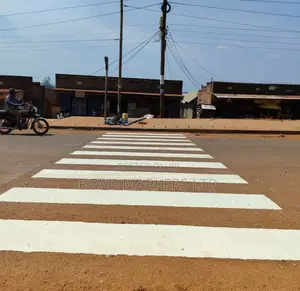 Zebra Crossing Painting