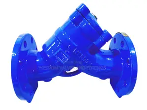 Y Strainer Pn16 - Sizes 2" to 16" Available Protect Equipment