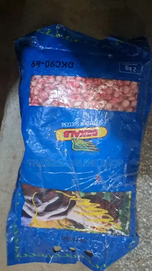 Dkc90-89 Dekalb Maize 2kg High Yield Maize