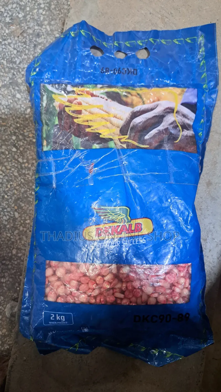 Dkc90-89 Dekalb Maize 2kg High Yield Maize