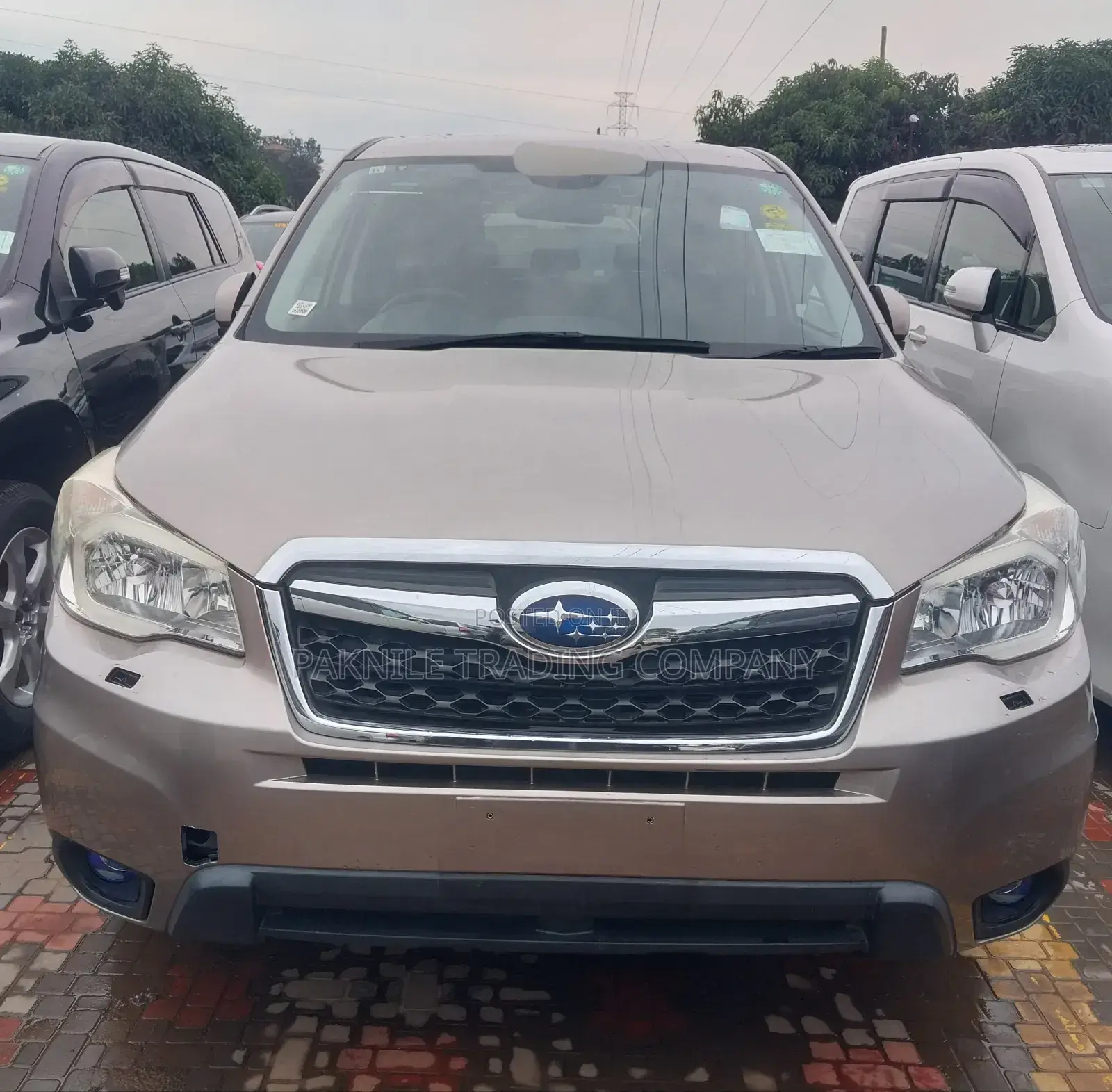 Subaru Forester 2014 Brown