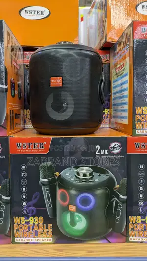 Portable Wireless Bluetooth Speaker 2 Mics