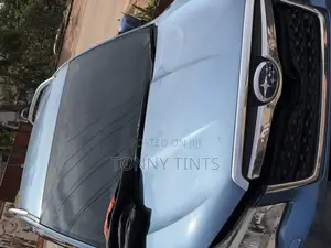 Tonny Tints and Stickers