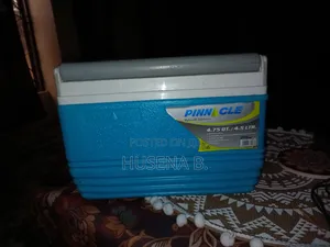 Ice Cooler 4.5 L