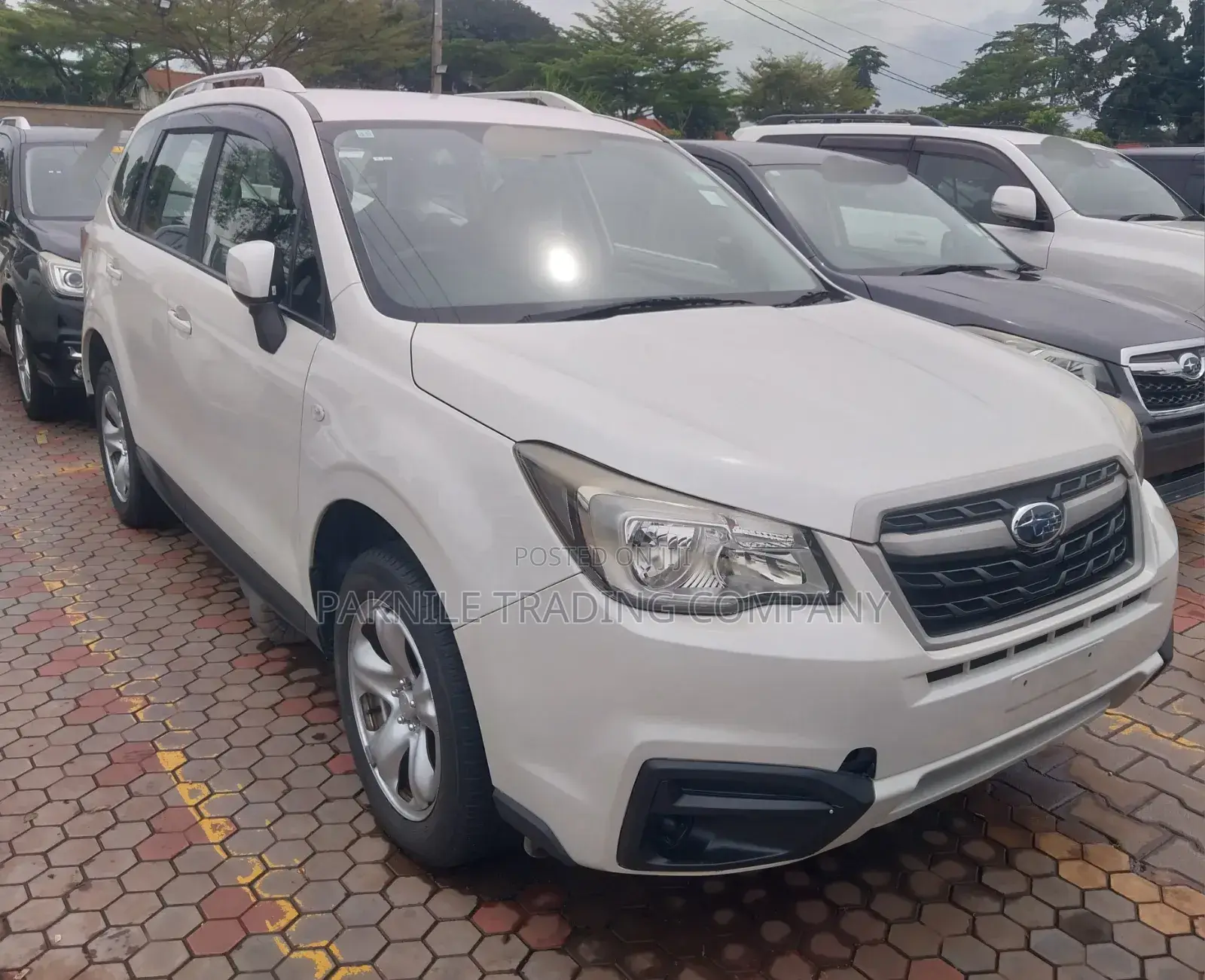 Subaru Forester 2013 White