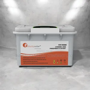 12v 2.56 Kw 200ah Lithium Ion Battery SMSM
