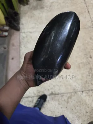 Toyota Alphard 2004 - 2006 Fender Mirror