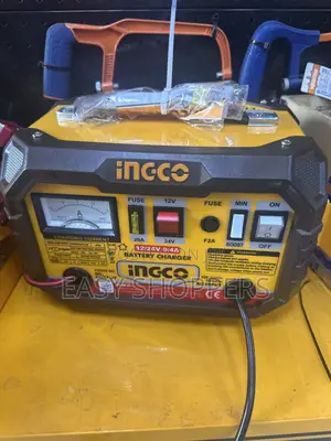Ingco Battery Charger 12v/24v