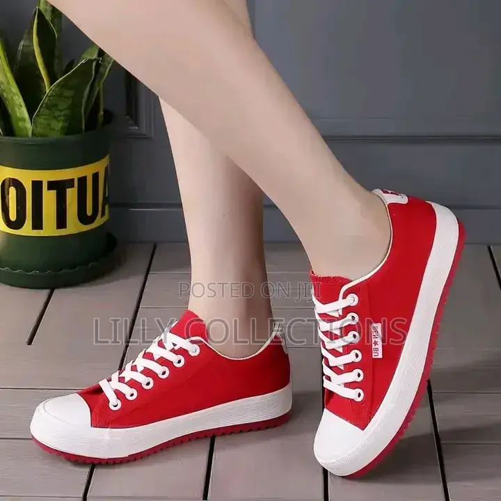 Beautiful Ladies Shoes