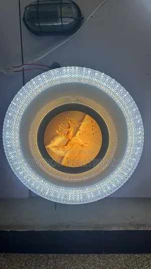 48w Color Changing Ceiling Light