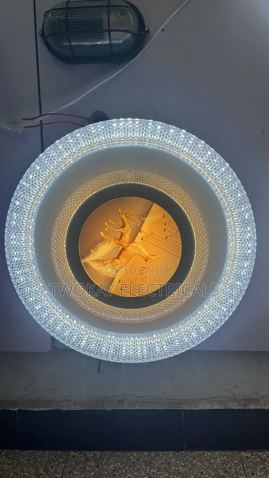 48w Color Changing Ceiling Light