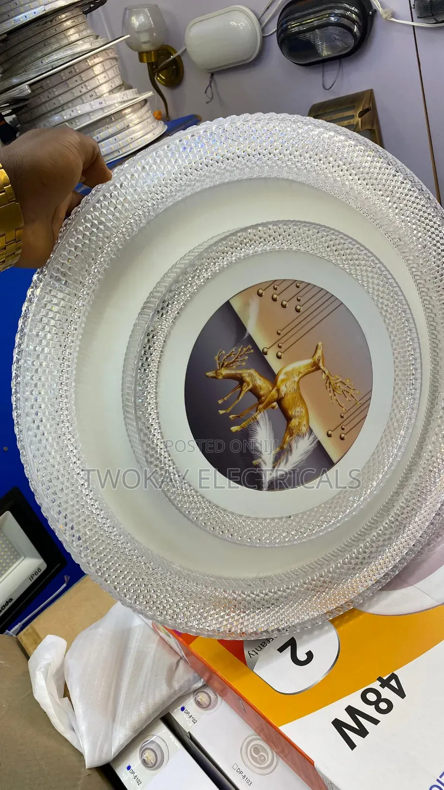 48w Color Changing Ceiling Light