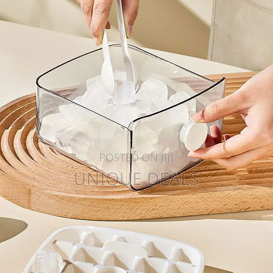 Clear Lid Ice Cube Tray