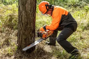 The Husqvarna 372xp Chainsaw