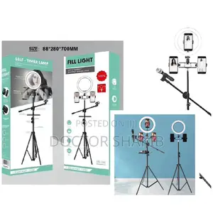 Ringlight With Stand And Microphone Stand Set Up
