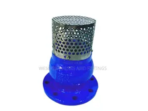 Foot Valve Pn16 -Footvalve Sizes 3" to 8" Available
