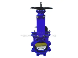 Knife Gate Valve (Wcb Body, 304 Plate) - Sizes 6" to 10" Available