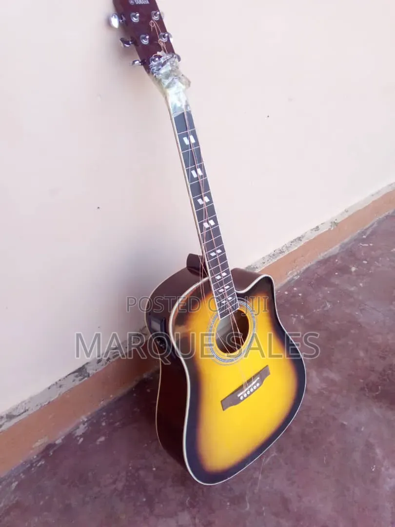 Guitar Repair and Servicing