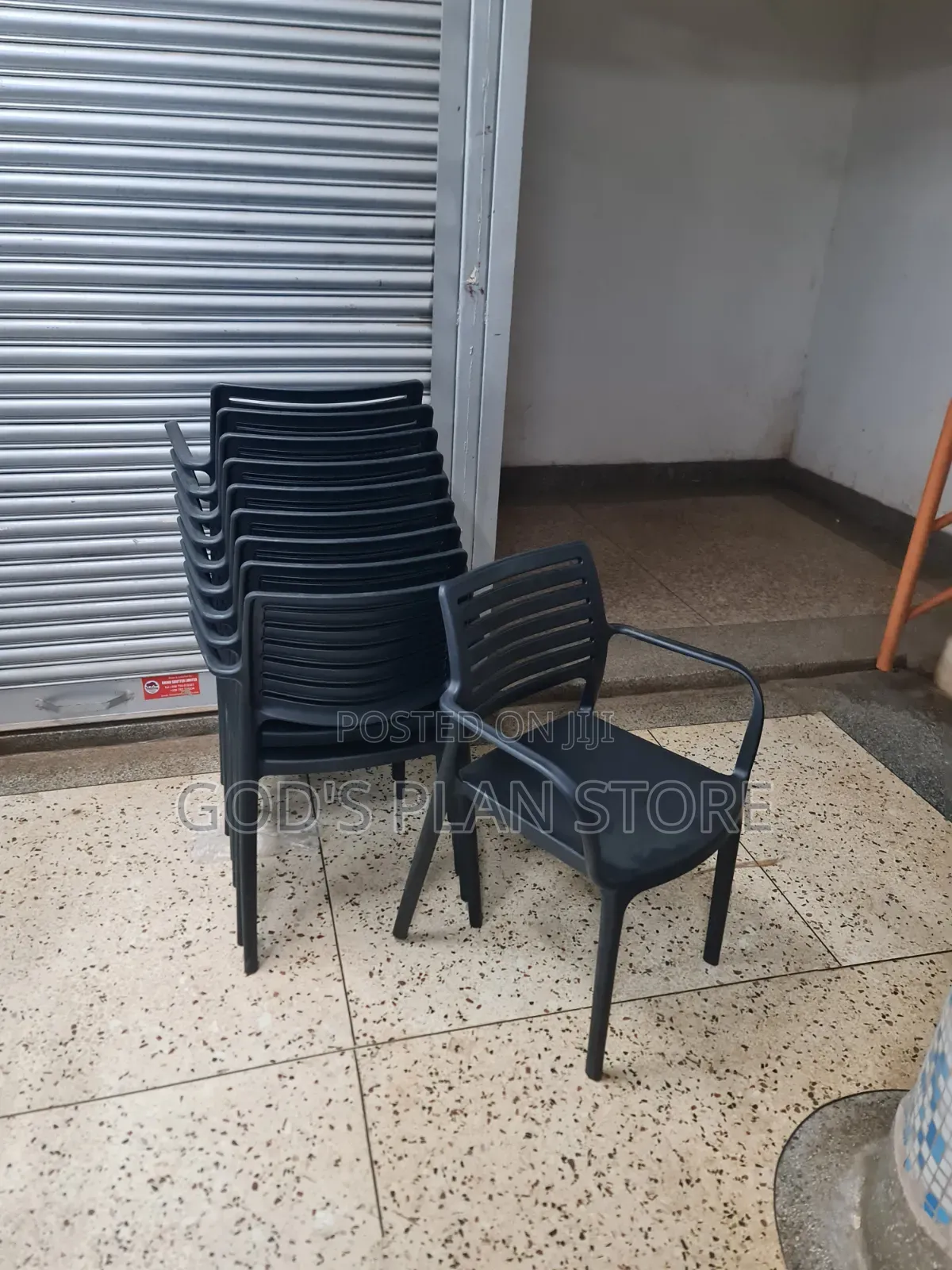 Zebra Back Indoor Outdoor Plastic Chairs Plastic Chairs