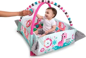 Baby Ball-Pit Play Gym