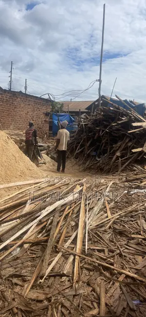 Eucalyptus Timber