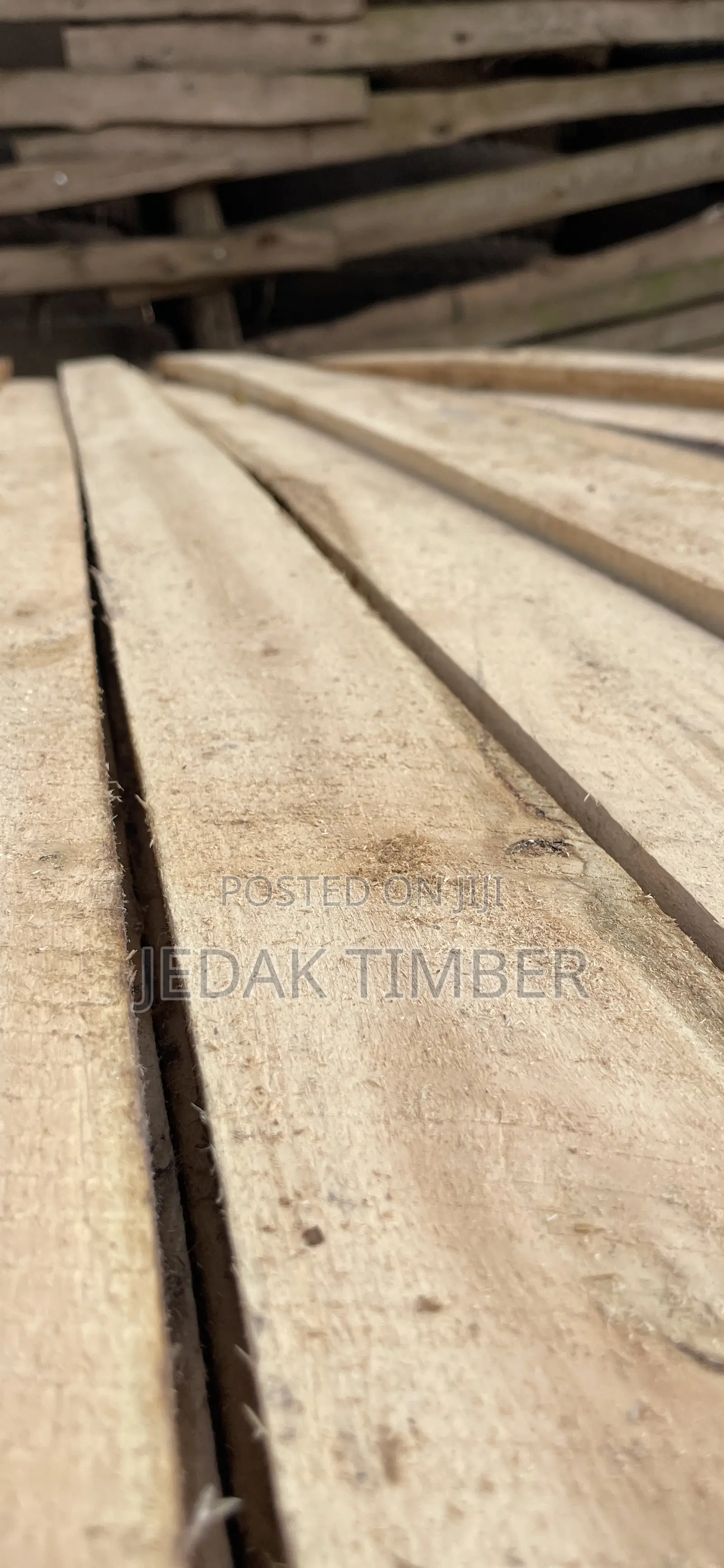 Quality Eucalyptus Timber