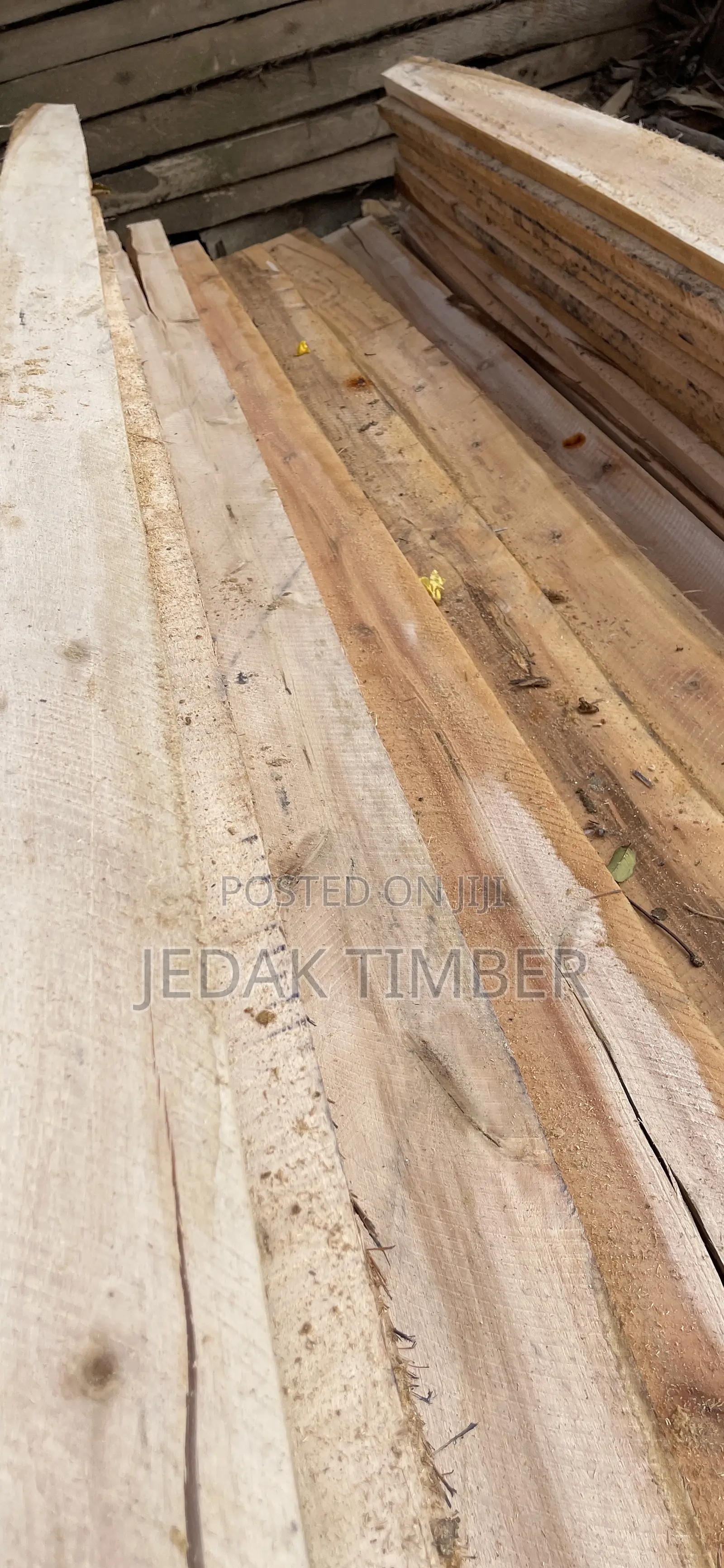 Quality Eucalyptus Timber