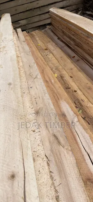 Quality Eucalyptus Timber