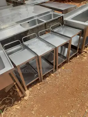 2_ Tray Stainless Steel Trolley