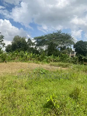 Kira Nsasa Land 50 by 100
