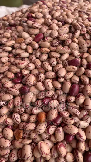 Masavu Beans