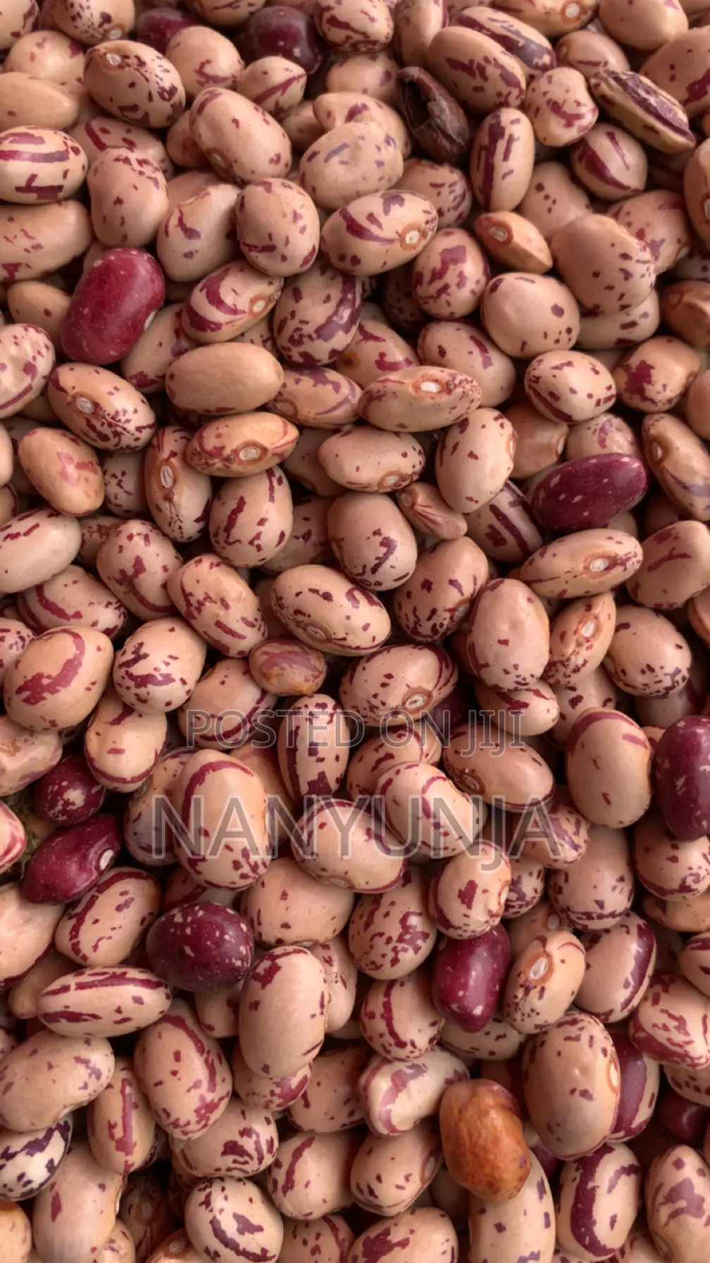 Masavu Beans