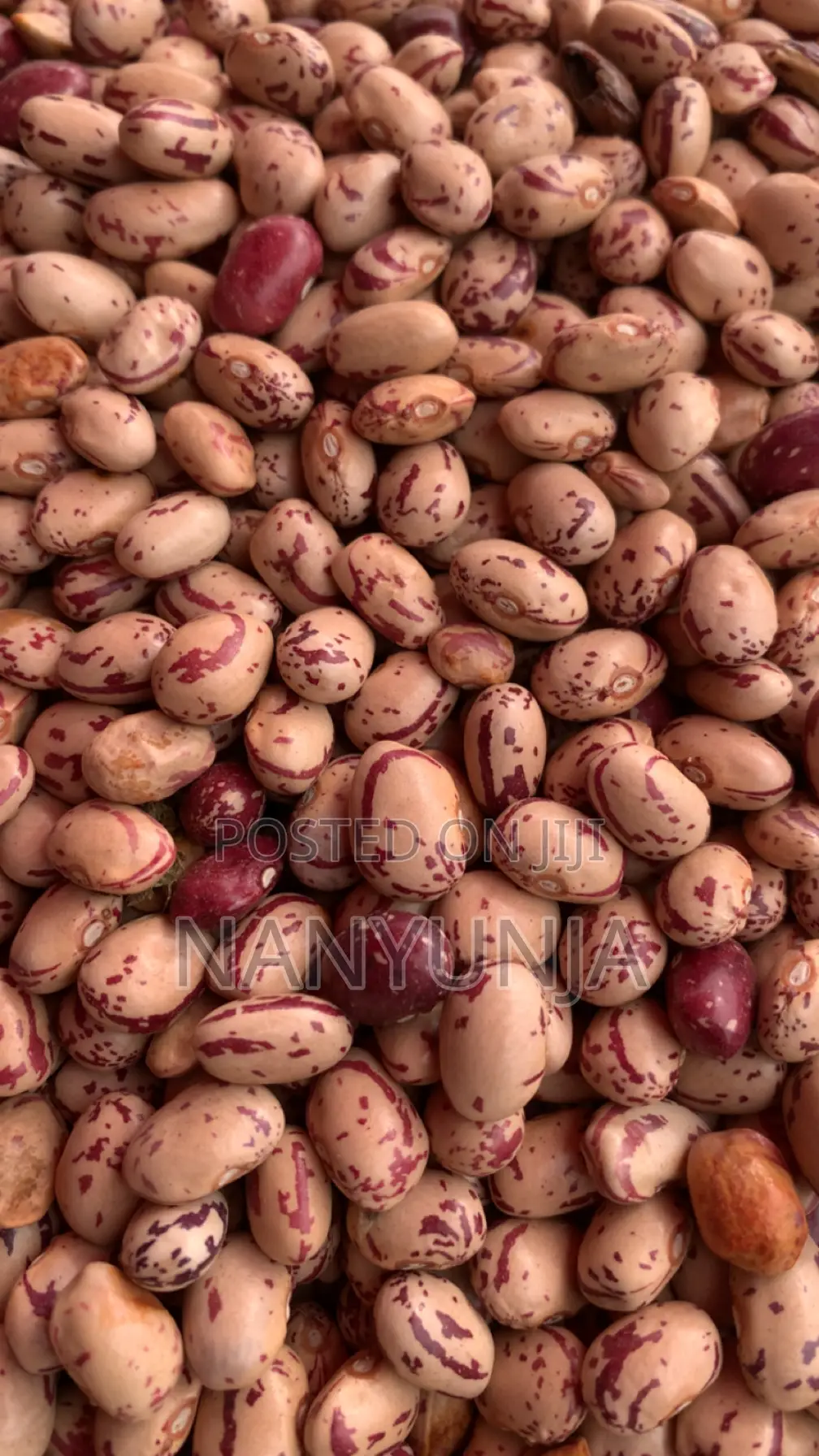 Masavu Beans