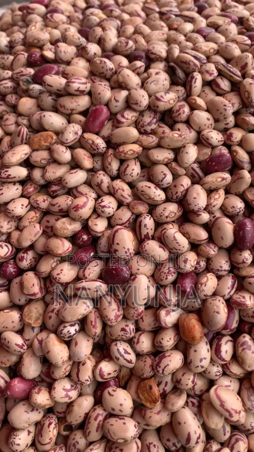 Masavu Beans