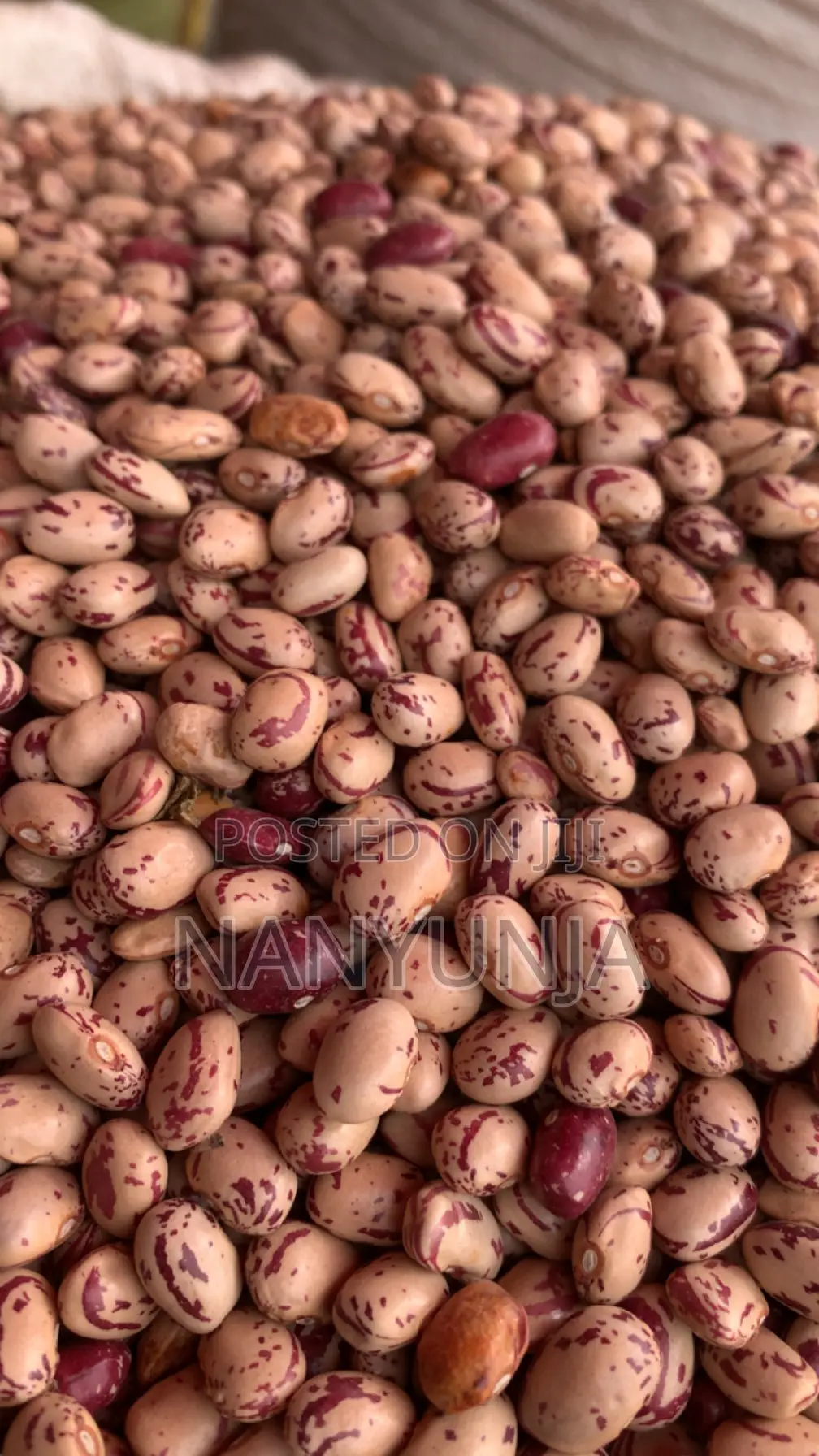 Masavu Beans