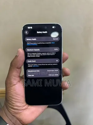 Apple iPhone 17 Pro Max 256 GB Silver