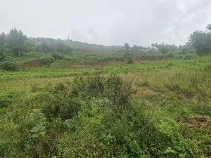 2 Plots in Jinja Near King's Palace of Busoga