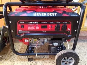 Gasoline Generator ( Everbest)
