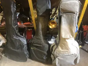 Guitar Bags Light and Heavy