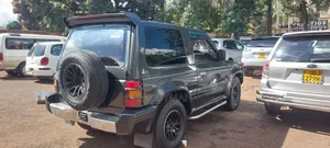 Mitsubishi Pajero 1994 Gray