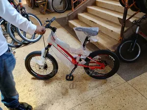 16 Inches Kids Sports Bicycle Suitable for Ages 10 and Above