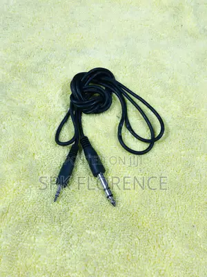 35mm (1/4") to 3.5mm Stereo Jack Audio Cable.