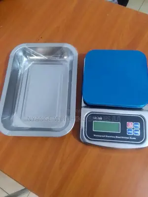 Digital Weighing Scale 5kg/0.1g Weigh Counter Digital Weighing Scale