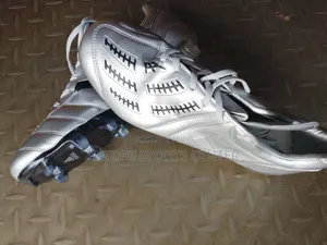 Gray Adidas Shoes